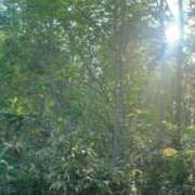 ヒメ日記 2026/04/10 07:22 投稿 あさひ SOAPLAND LOVE FACTORY