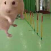 ヒメ日記 2026/04/10 07:36 投稿 あさひ SOAPLAND LOVE FACTORY