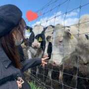 ヒメ日記 2026/04/10 07:51 投稿 あさひ SOAPLAND LOVE FACTORY