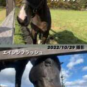 ヒメ日記 2026/04/11 11:59 投稿 あさひ SOAPLAND LOVE FACTORY