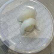 ヒメ日記 2026/04/11 15:12 投稿 あさひ SOAPLAND LOVE FACTORY