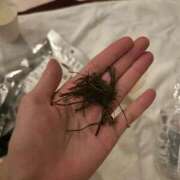 ヒメ日記 2026/04/11 23:32 投稿 あさひ SOAPLAND LOVE FACTORY