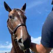 ヒメ日記 2026/04/13 06:44 投稿 あさひ SOAPLAND LOVE FACTORY