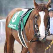 ヒメ日記 2026/04/13 20:52 投稿 あさひ SOAPLAND LOVE FACTORY