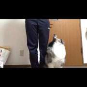 ヒメ日記 2026/04/14 00:32 投稿 あさひ SOAPLAND LOVE FACTORY