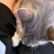 ヒメ日記 2026/04/14 01:02 投稿 あさひ SOAPLAND LOVE FACTORY