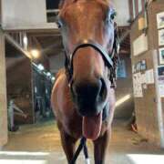 ヒメ日記 2026/04/14 02:12 投稿 あさひ SOAPLAND LOVE FACTORY