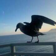 ヒメ日記 2026/04/14 02:26 投稿 あさひ SOAPLAND LOVE FACTORY