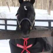 ヒメ日記 2026/04/14 09:28 投稿 あさひ SOAPLAND LOVE FACTORY