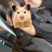 ヒメ日記 2026/04/14 14:36 投稿 あさひ SOAPLAND LOVE FACTORY