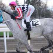 ヒメ日記 2026/04/16 14:42 投稿 あさひ SOAPLAND LOVE FACTORY