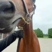 ヒメ日記 2026/04/16 15:22 投稿 あさひ SOAPLAND LOVE FACTORY