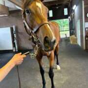 ヒメ日記 2026/04/16 16:02 投稿 あさひ SOAPLAND LOVE FACTORY