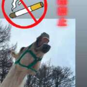 ヒメ日記 2026/04/17 06:22 投稿 あさひ SOAPLAND LOVE FACTORY