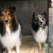 ヒメ日記 2026/04/17 07:06 投稿 あさひ SOAPLAND LOVE FACTORY