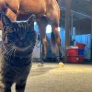 ヒメ日記 2026/04/18 15:12 投稿 あさひ SOAPLAND LOVE FACTORY