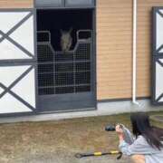 ヒメ日記 2026/04/19 05:29 投稿 あさひ SOAPLAND LOVE FACTORY