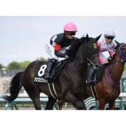 ヒメ日記 2026/04/19 06:02 投稿 あさひ SOAPLAND LOVE FACTORY