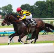 ヒメ日記 2026/04/19 07:02 投稿 あさひ SOAPLAND LOVE FACTORY