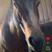 ヒメ日記 2026/04/20 08:52 投稿 あさひ SOAPLAND LOVE FACTORY