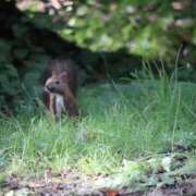 ヒメ日記 2026/04/20 09:12 投稿 あさひ SOAPLAND LOVE FACTORY