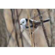 ヒメ日記 2026/04/20 09:20 投稿 あさひ SOAPLAND LOVE FACTORY