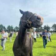 ヒメ日記 2026/04/21 06:19 投稿 あさひ SOAPLAND LOVE FACTORY