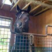 ヒメ日記 2026/04/21 07:05 投稿 あさひ SOAPLAND LOVE FACTORY