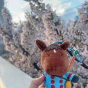 ヒメ日記 2026/04/21 08:52 投稿 あさひ SOAPLAND LOVE FACTORY