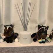 ヒメ日記 2026/04/21 09:27 投稿 あさひ SOAPLAND LOVE FACTORY