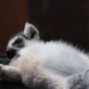 ヒメ日記 2026/04/21 10:52 投稿 あさひ SOAPLAND LOVE FACTORY