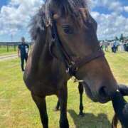 ヒメ日記 2026/04/21 19:08 投稿 あさひ SOAPLAND LOVE FACTORY