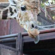 ヒメ日記 2026/04/22 08:17 投稿 あさひ SOAPLAND LOVE FACTORY