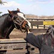 ヒメ日記 2026/04/22 08:42 投稿 あさひ SOAPLAND LOVE FACTORY