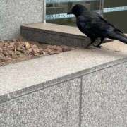 ヒメ日記 2026/04/22 11:19 投稿 あさひ SOAPLAND LOVE FACTORY