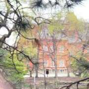 ヒメ日記 2026/04/22 11:32 投稿 あさひ SOAPLAND LOVE FACTORY