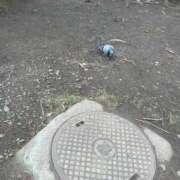 ヒメ日記 2026/04/22 11:35 投稿 あさひ SOAPLAND LOVE FACTORY