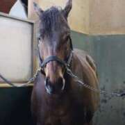 ヒメ日記 2026/04/23 07:22 投稿 あさひ SOAPLAND LOVE FACTORY