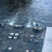 ヒメ日記 2026/04/23 11:37 投稿 あさひ SOAPLAND LOVE FACTORY