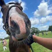 ヒメ日記 2026/04/23 16:42 投稿 あさひ SOAPLAND LOVE FACTORY