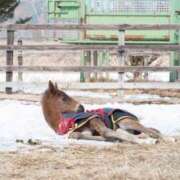 ヒメ日記 2026/04/23 19:02 投稿 あさひ SOAPLAND LOVE FACTORY