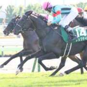 ヒメ日記 2026/04/24 12:05 投稿 あさひ SOAPLAND LOVE FACTORY