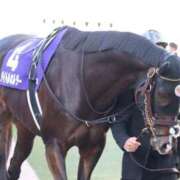 ヒメ日記 2026/04/24 16:05 投稿 あさひ SOAPLAND LOVE FACTORY