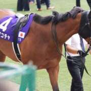 ヒメ日記 2026/04/24 16:15 投稿 あさひ SOAPLAND LOVE FACTORY