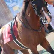 ヒメ日記 2026/04/24 16:56 投稿 あさひ SOAPLAND LOVE FACTORY