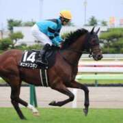 ヒメ日記 2026/04/24 17:00 投稿 あさひ SOAPLAND LOVE FACTORY