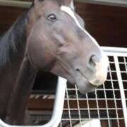 ヒメ日記 2026/04/24 17:22 投稿 あさひ SOAPLAND LOVE FACTORY