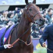 ヒメ日記 2026/04/24 21:52 投稿 あさひ SOAPLAND LOVE FACTORY