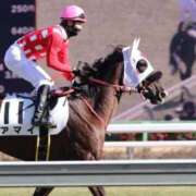 ヒメ日記 2026/04/25 00:16 投稿 あさひ SOAPLAND LOVE FACTORY