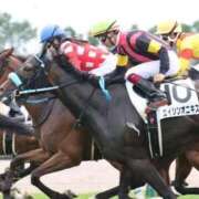 ヒメ日記 2026/04/25 00:42 投稿 あさひ SOAPLAND LOVE FACTORY